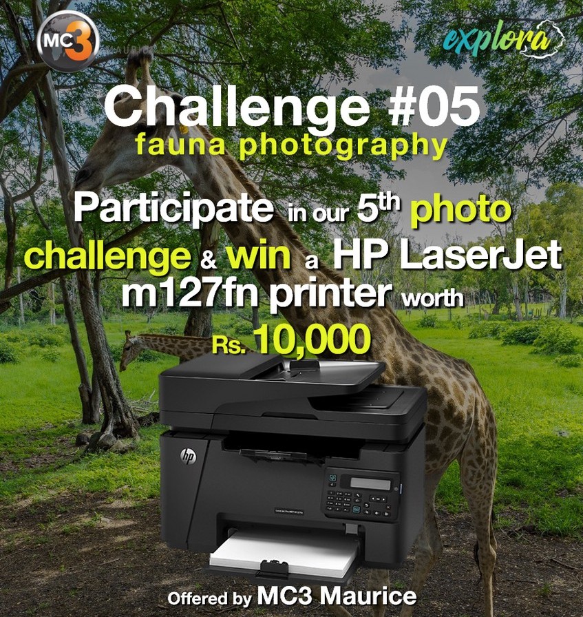 5th Mauritius Photo competition about the Fauna of Mauritius
