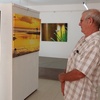 Visitor viewing photo at Photo exhibition at Lakaz Flanbwayan Bambous