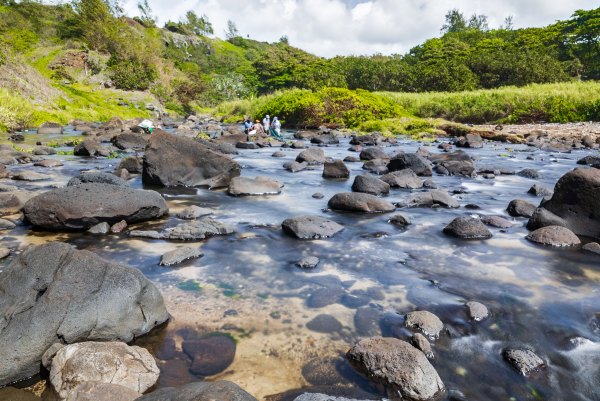 25 most amazing rivers in Mauritius