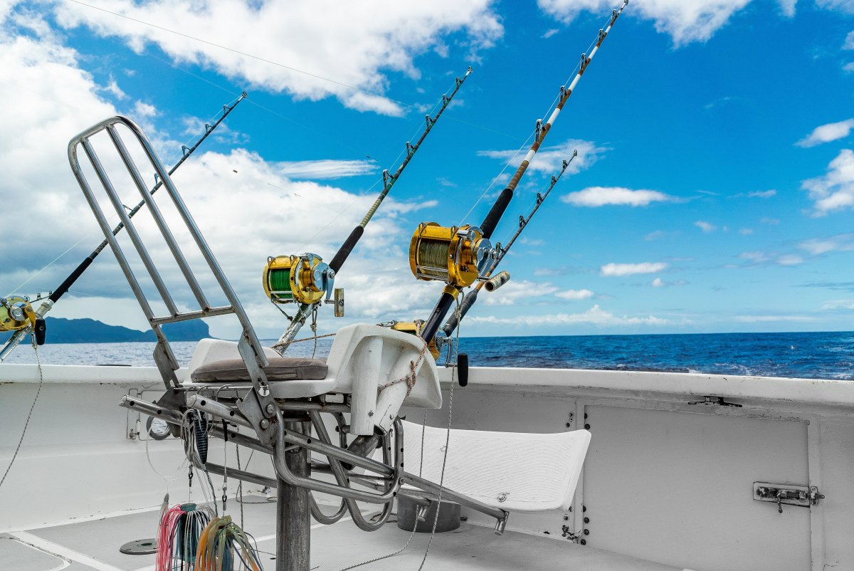 100+ Free Photos - Fighting chair for catching marlin during big