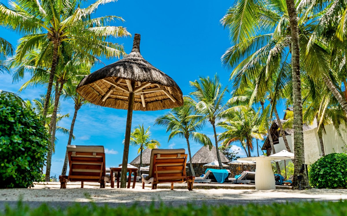 100+ Free Photos - Straw Umbrellas near Constance Pool under palm trees