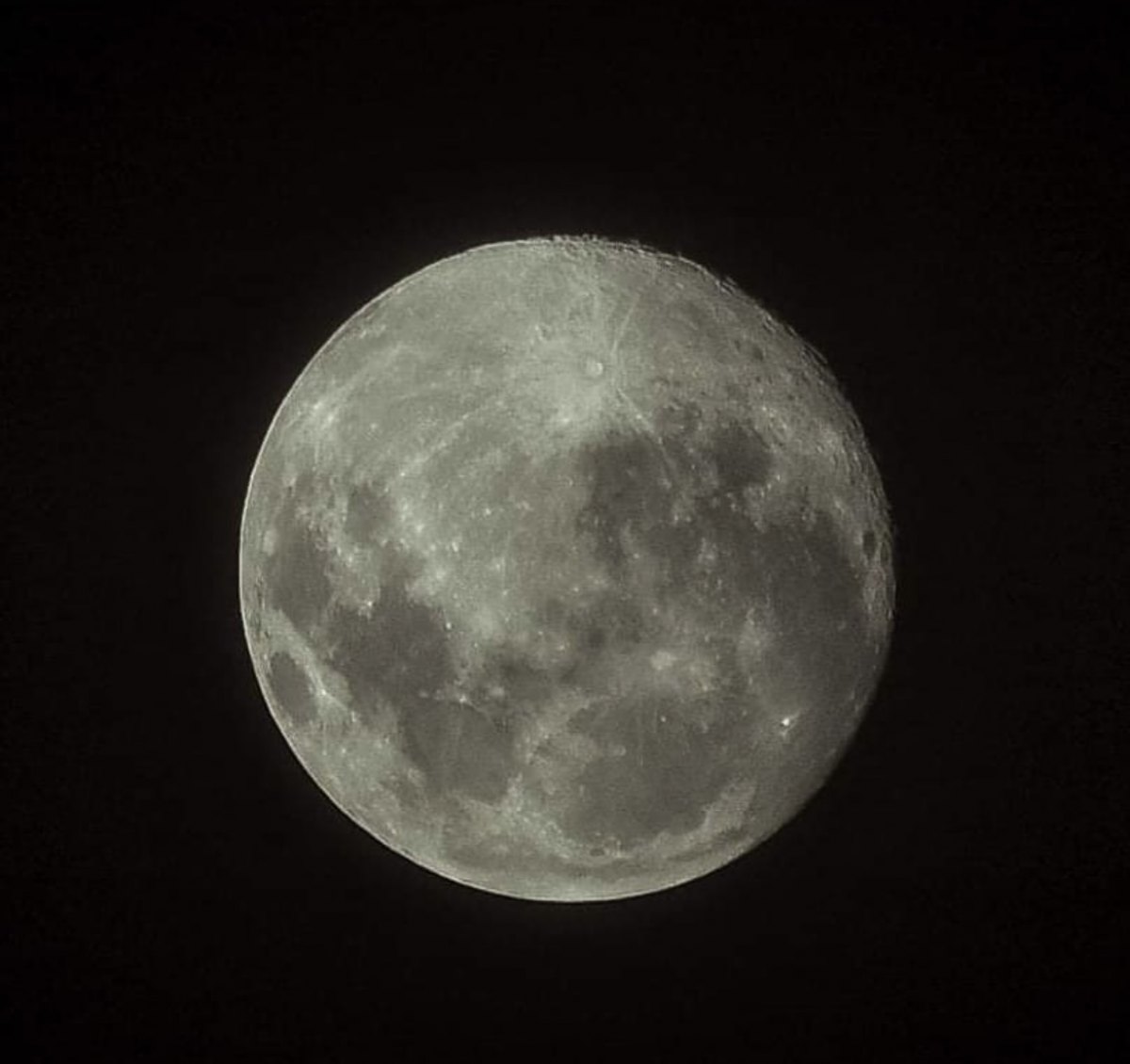 100+ Free Photos Moon closeup with its craters in Mauritius