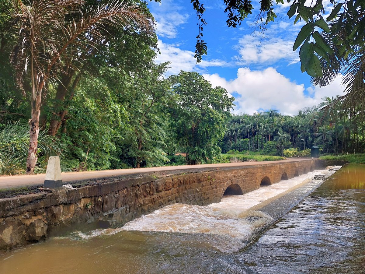 100+ Free Photos - Forest bridge & river at Riche en Eau village